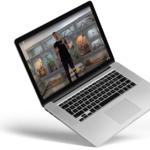 הקורס למגדל המתחיל